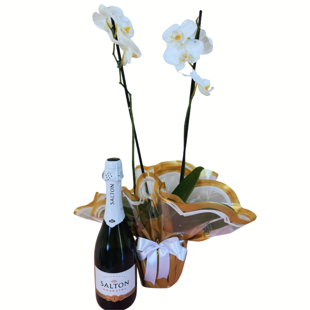 Orquídea Phalaenopsis e espumante